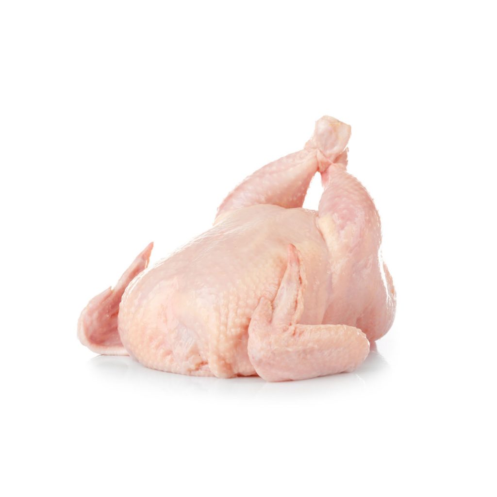 Fresh Chicken