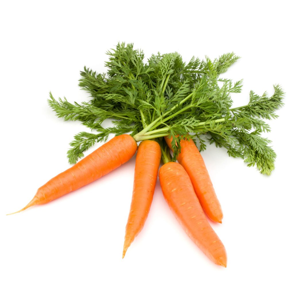 Carrot vegetable
