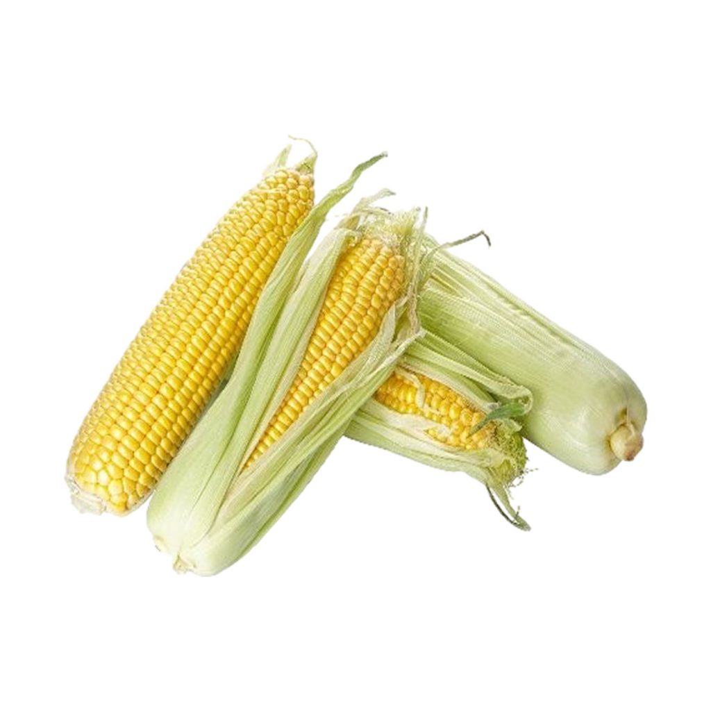 Sweet corn mealies