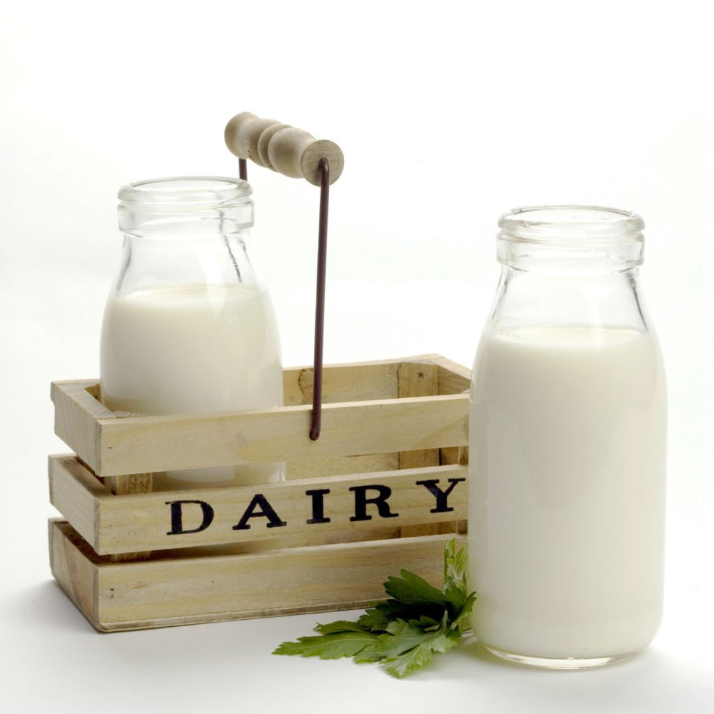 Milk Dairy