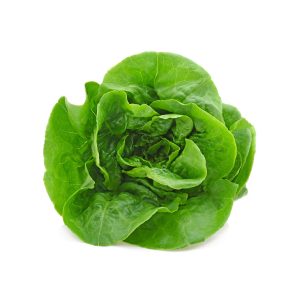 Green Lettuce