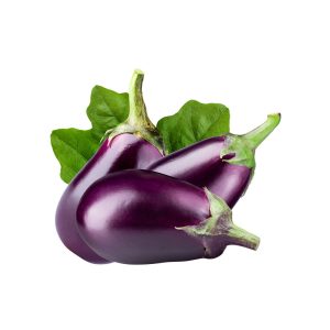 Purple Eggplant