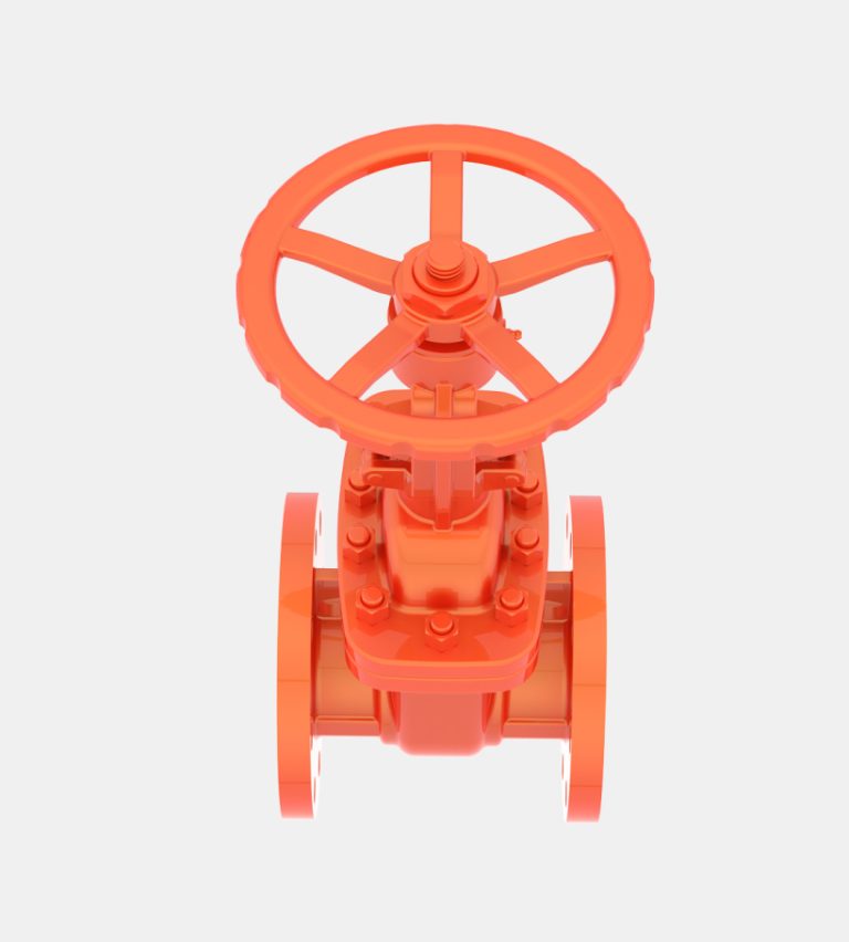 Gate Valve Large